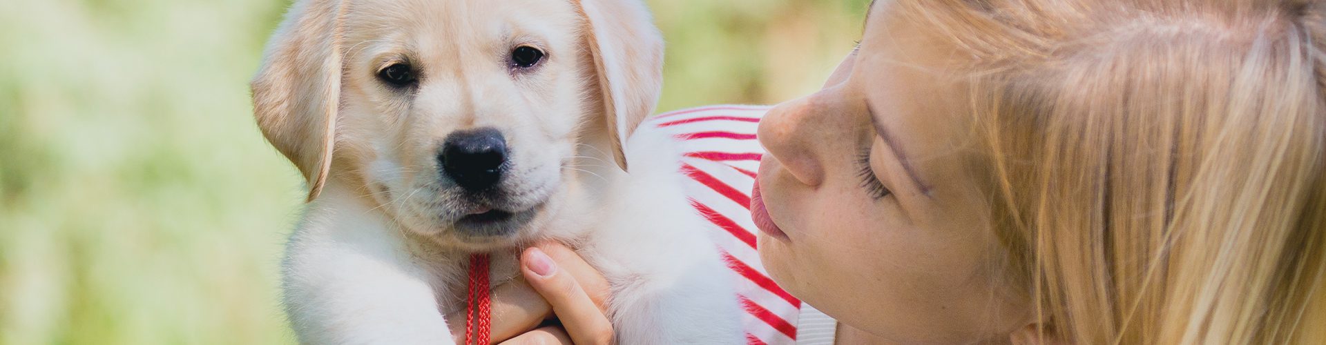 Hundehvalp og pige leger