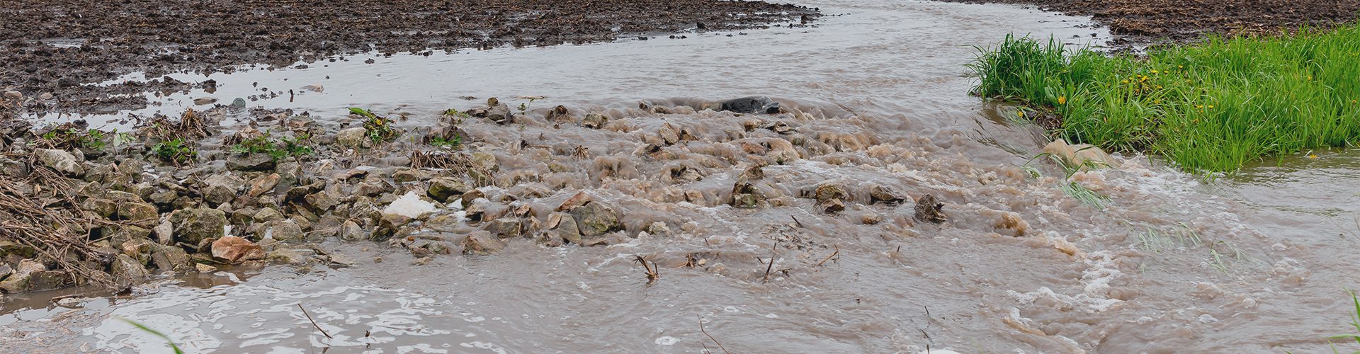 Dækning ved stormflod
