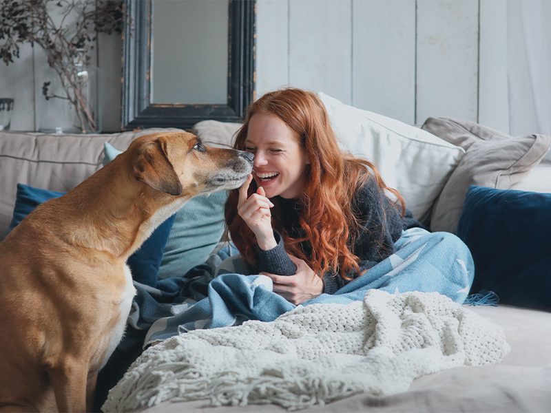 Glad kvinde og hund i sofa leger