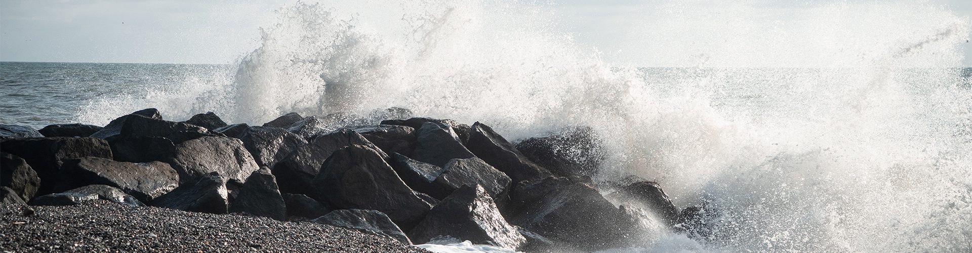 Efter stormen – begræns skaden