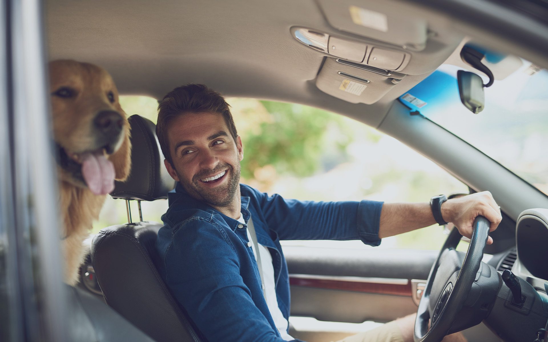 Mand i bil med en golden retriever hund
