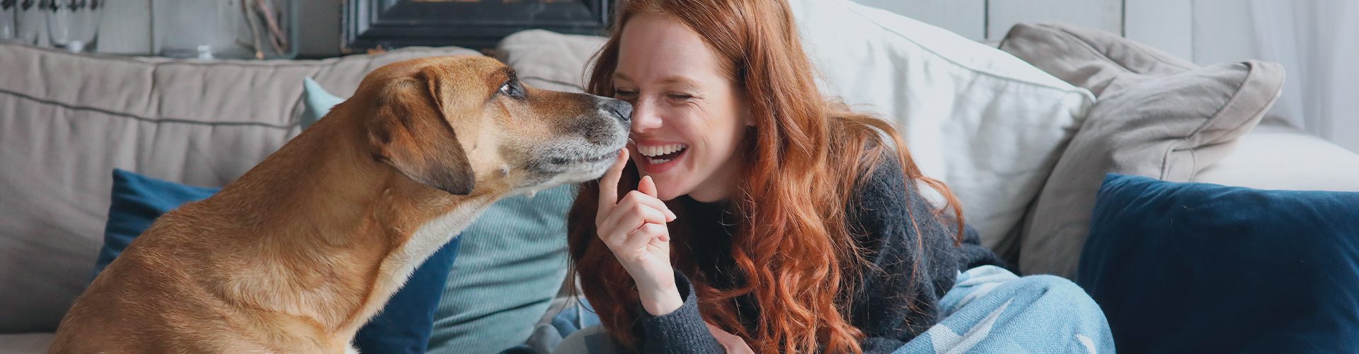 Hundeforsikring - Kvinde og hund i sofa